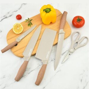 HomeEssentials 6-Piece German-Engineered Knife Set with Block